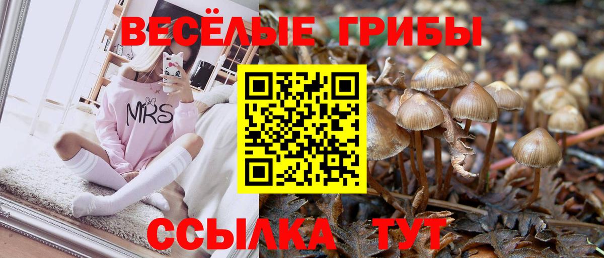 Конопля Нововоронеж